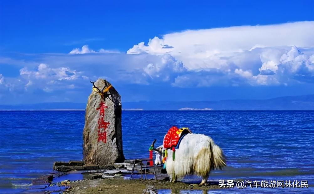临沂「惠游丝路」门源/张掖/敦煌/德令哈/茶卡/青海湖/西宁8日游