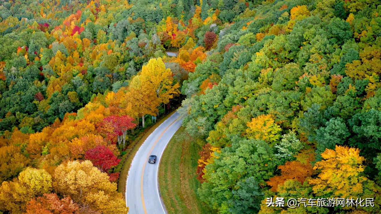 临沂「惠游丝路」门源/张掖/敦煌/德令哈/茶卡/青海湖/西宁8日游