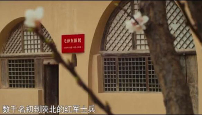 image002.jpg image002.jpg