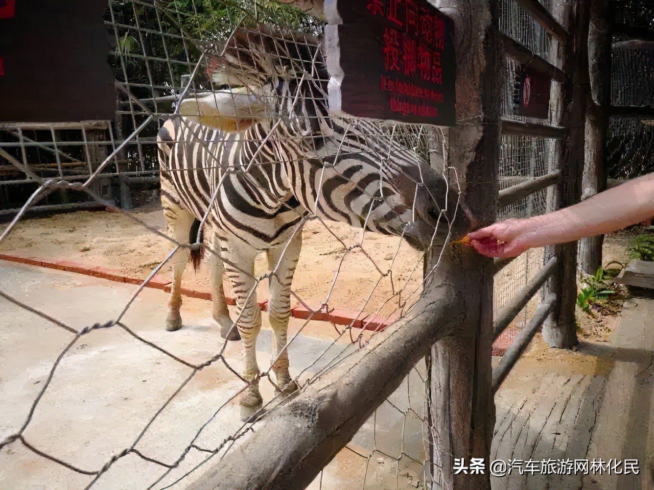 临沂三亚版海南五星双岛双飞5/6日游