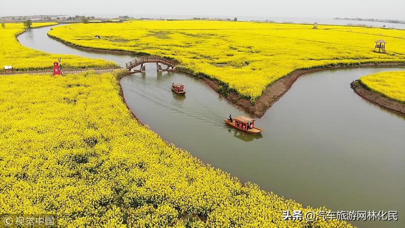 春游湖上花海（含花海小火车+乌篷船）踏青赏花纯玩一日游