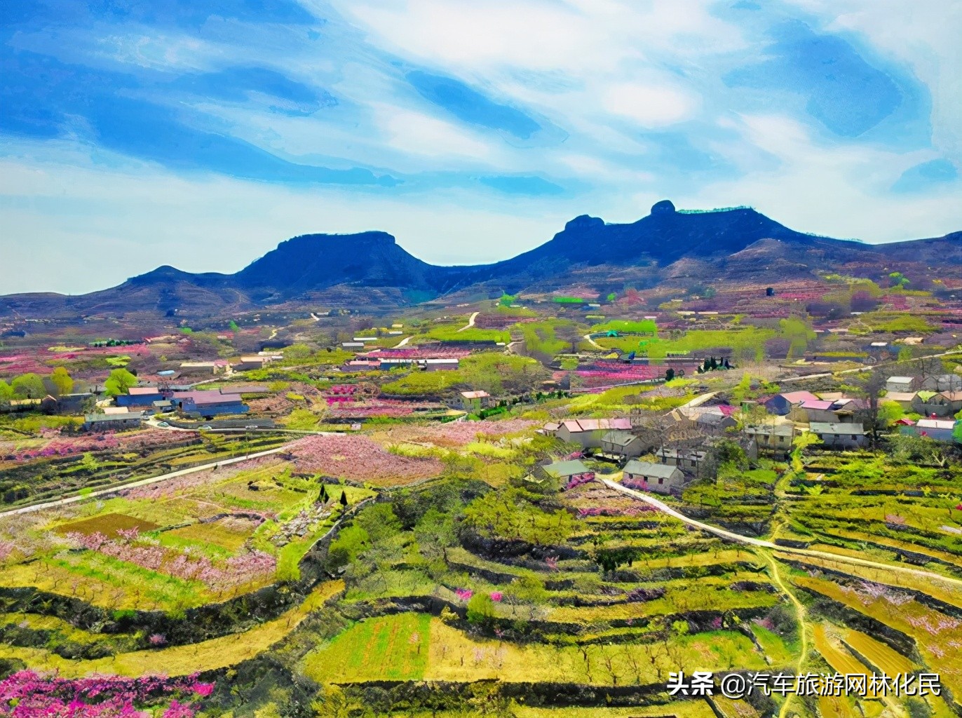 万亩桃花含苞待放，岱崮地貌等你来约