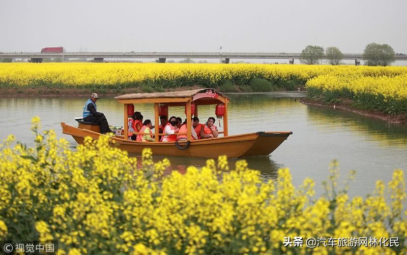 春游湖上花海（含花海小火车+乌篷船）踏青赏花纯玩一日游