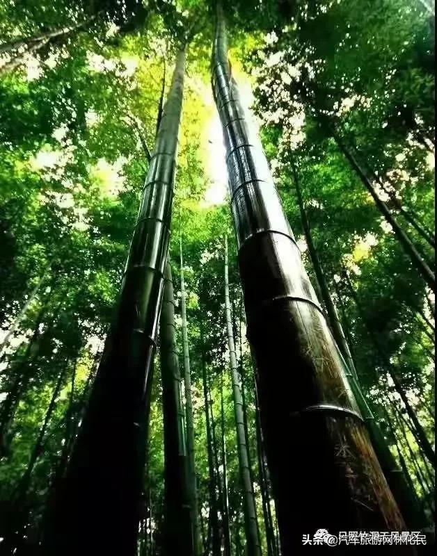 日照竹洞天风景区侗族特色美食—“百家宴”