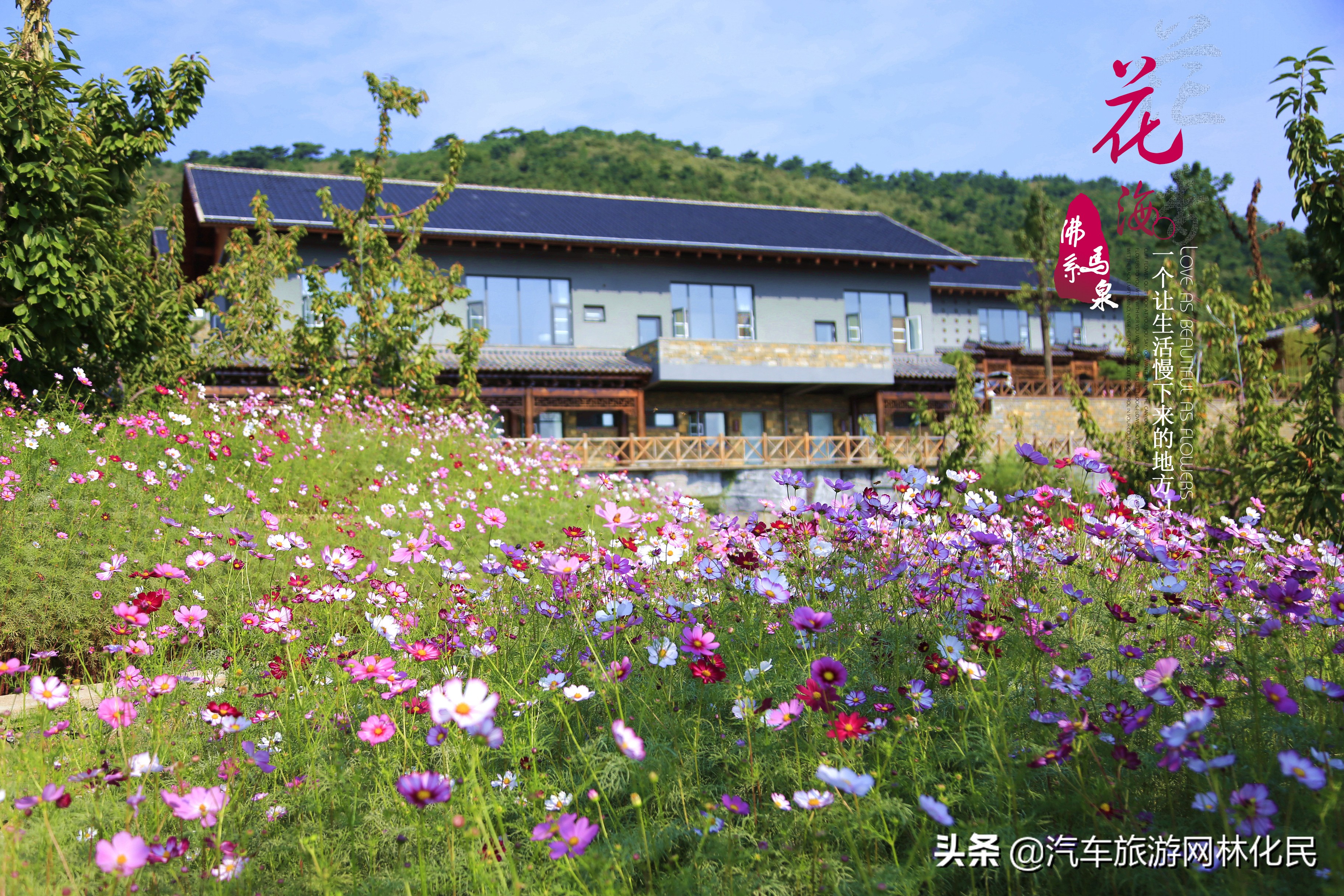 位于沂南的沂蒙马泉休闲园景区简介