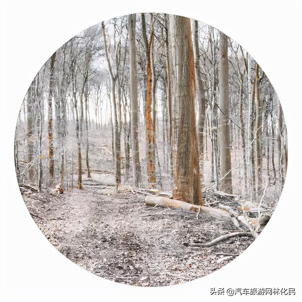 「直播预告」参情厚义 健康中国 18日晚8点,万元好礼大派送