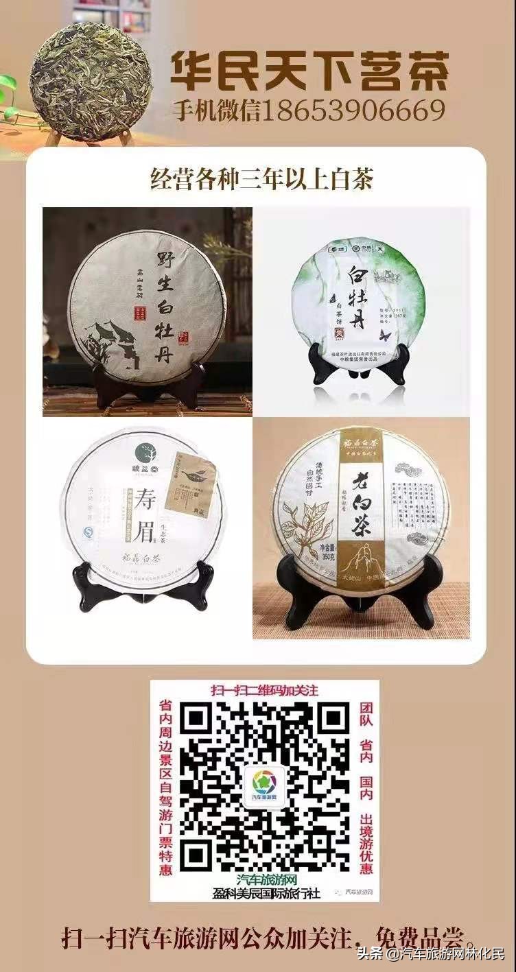 从汽车旅游网票付通购票,一年有四次机会免费旅游